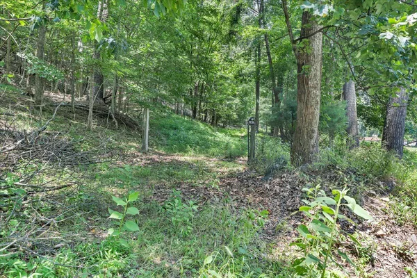 a view of outdoor space and green space