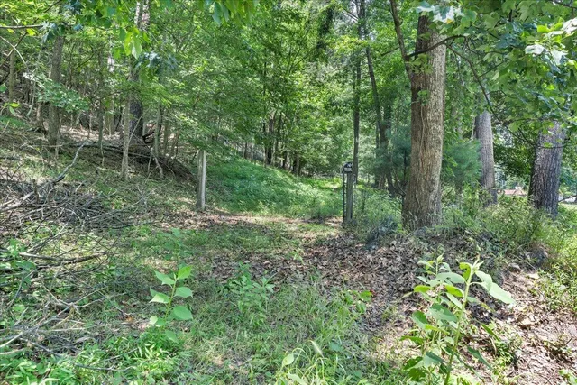 a view of outdoor space and green space