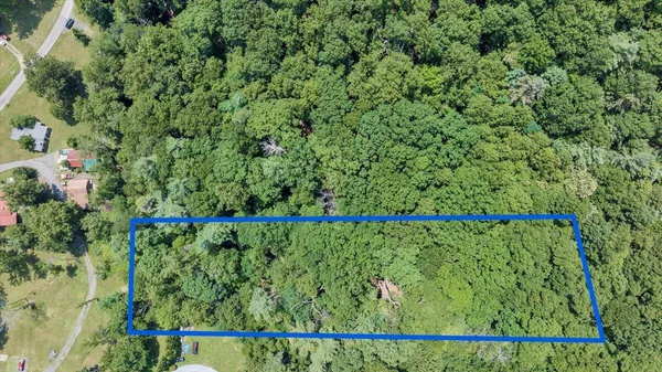 a view of a yard with a tree