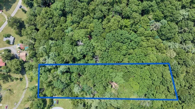 a view of a yard with a tree