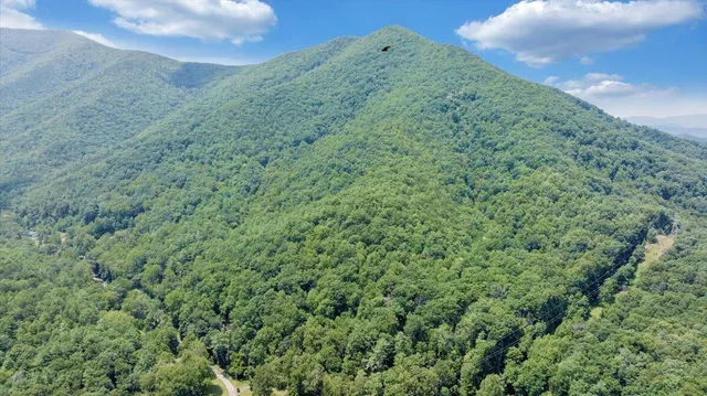 a view of a big yard with lots of green space