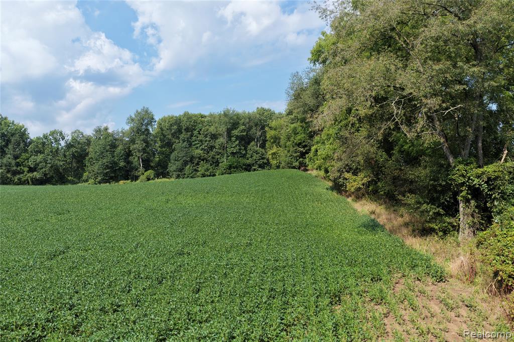 5891 North Allen Road Allen, MI 49227 - Photo 12 of 17 Gallery Image 12
