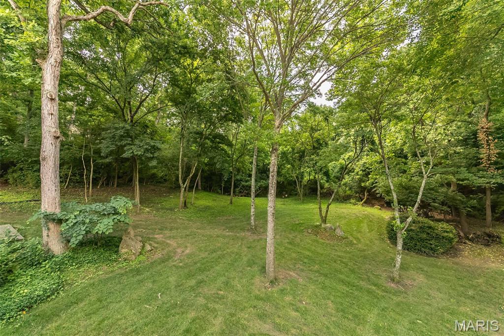 12420 Robyn Road Sunset Hills, MO 63127 - Photo 21 of 55 Gallery Image 21