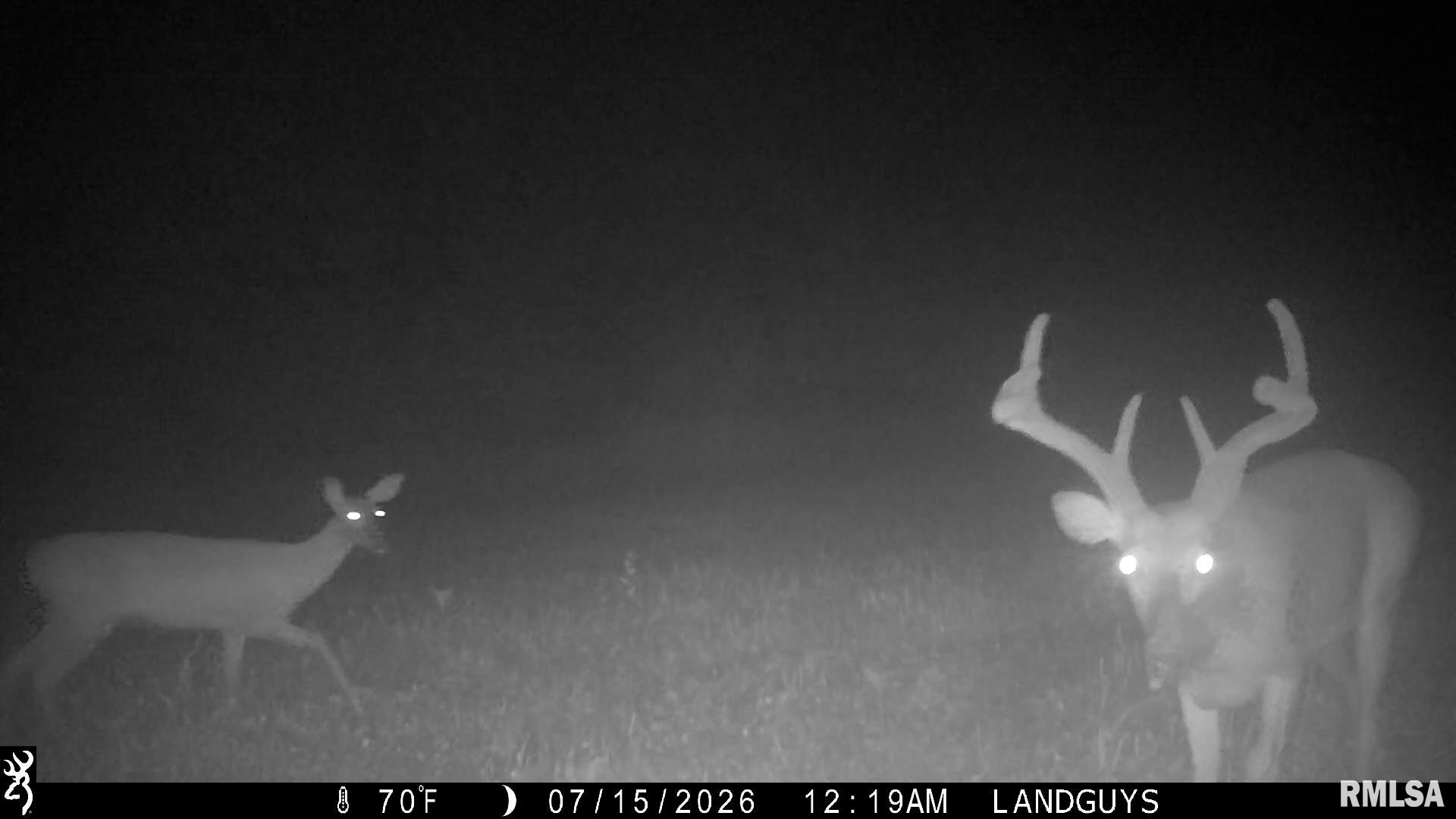 18881 East Hart Road Marietta, IL 61459 - Photo 50 of 62 Gallery Image 50