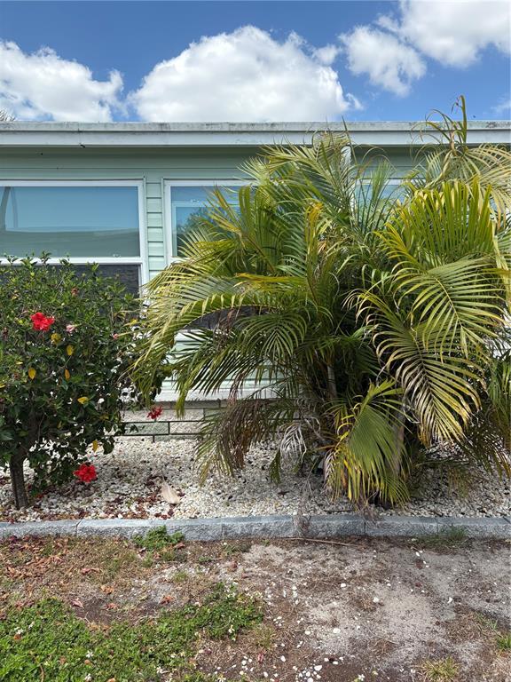 11087 102nd Street, Unit 207 Largo, FL 33773 - Photo 36 of 45