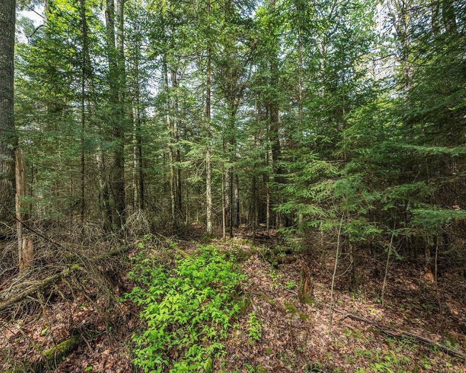 8 Blue Island Road, Unit PARCEL Woodruff, WI 54568 - Photo 6 of 22 Gallery Image 6