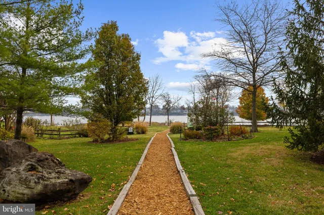 a park view with a bench and trees around