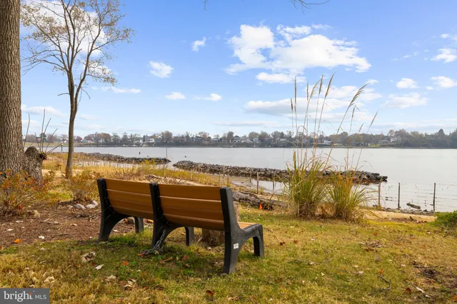 a view of a yard with trees
