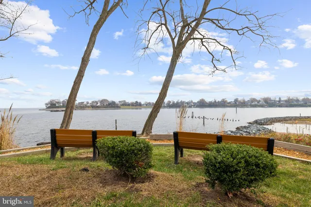 a view of a tennis ground with large trees