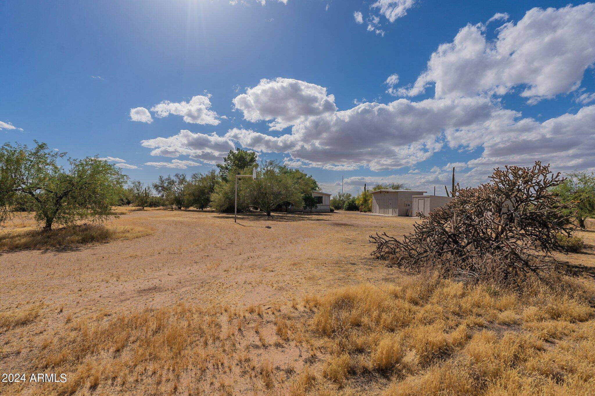 8945 North Page Road Florence, AZ 85132 - Photo 37 of 37 backyard