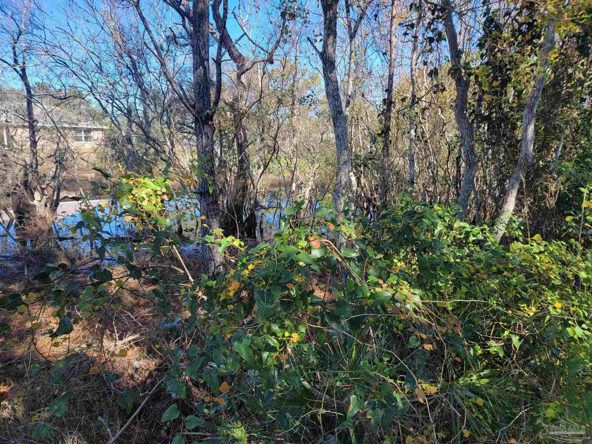 0 Whitewood Road Gulf Breeze, FL 32563 - Photo 1 of 2 Gallery Image 1