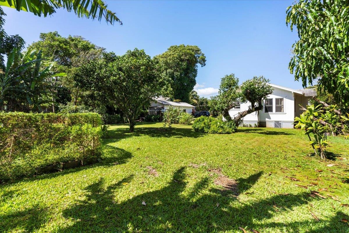 745 Kauhikoa Road Haiku, HI 96708 - Photo 2 of 8 a view of a garden with plants and large trees