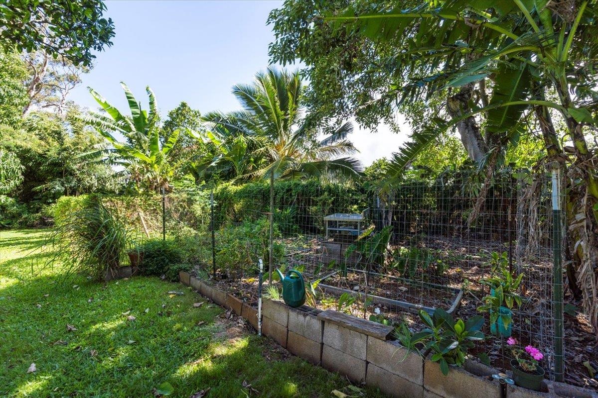 745 Kauhikoa Road Haiku, HI 96708 - Photo 3 of 8 a view of a yard with plants and large trees