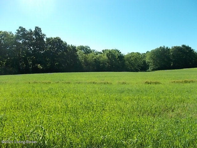 0 Caney Frk Road Bardstown, KY 40004 - Photo 3 of 4 Caney Fork 2