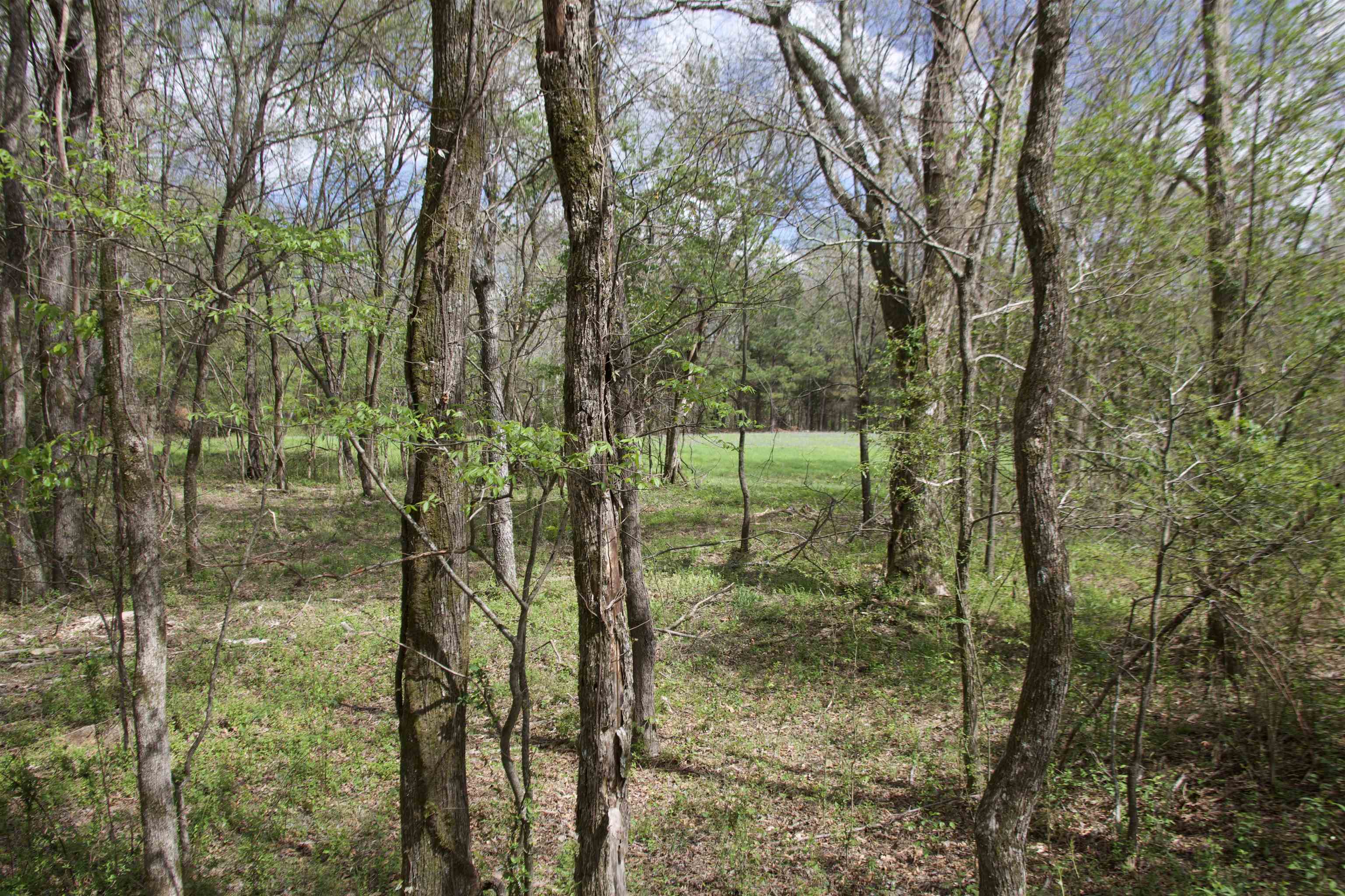 1519 Wilburn Road Michigan City, MS 38647 - Photo 12 of 22 a view of lake from balcony