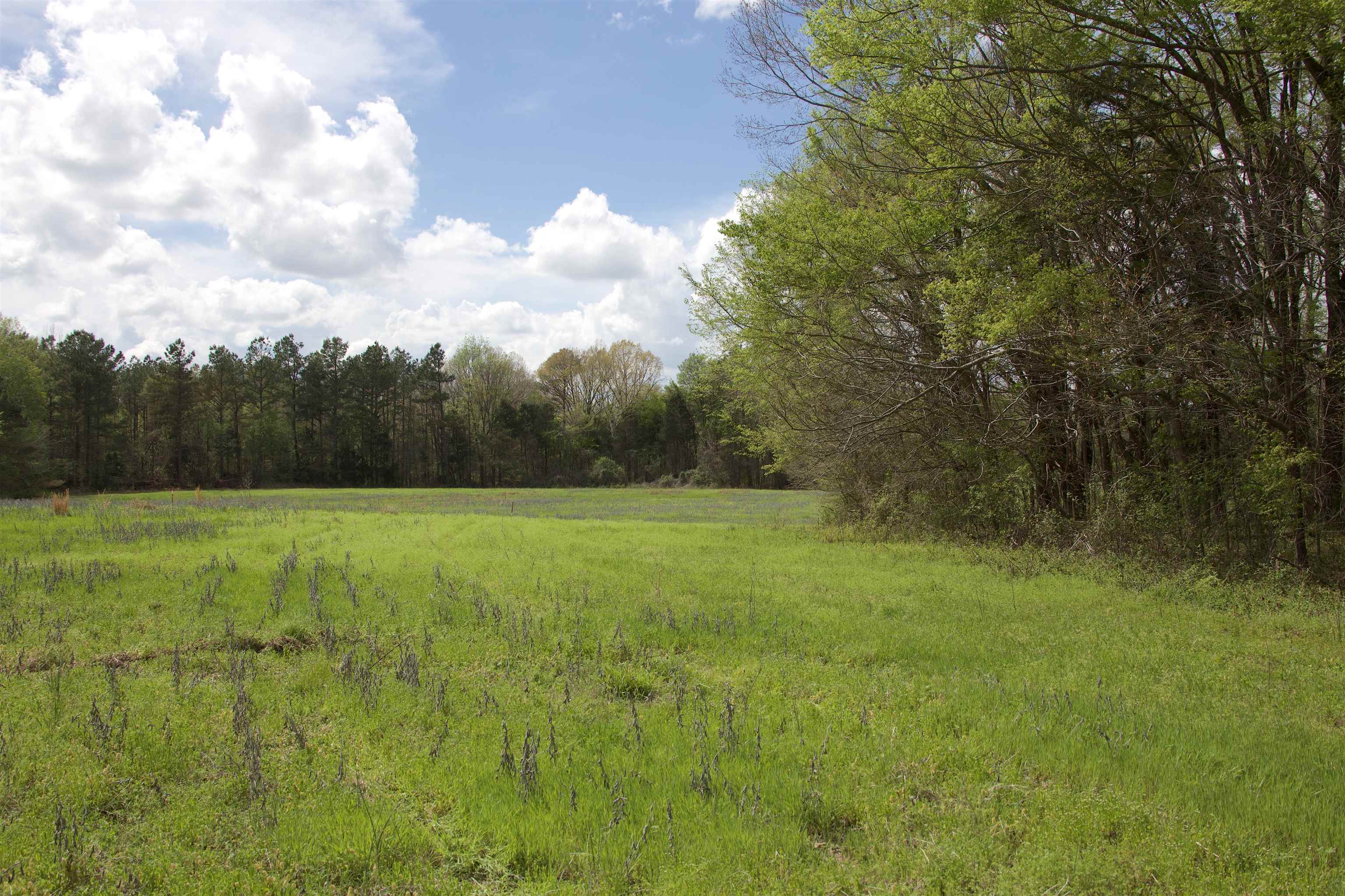 1519 Wilburn Road Michigan City, MS 38647 - Photo 13 of 22 a view of outdoor space and yard