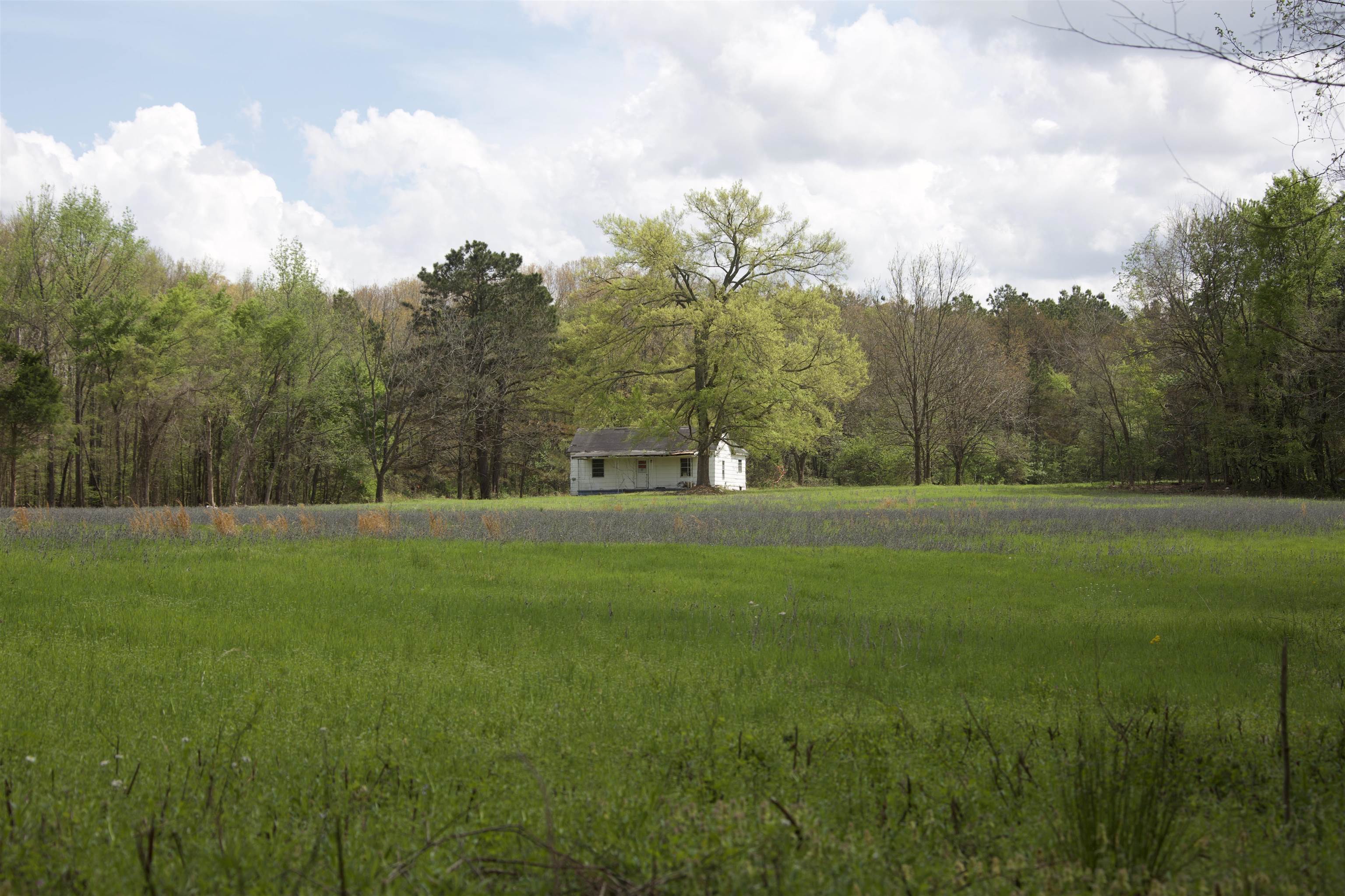 1519 Wilburn Road Michigan City, MS 38647 - Photo 17 of 22 a view of a field of grass and trees