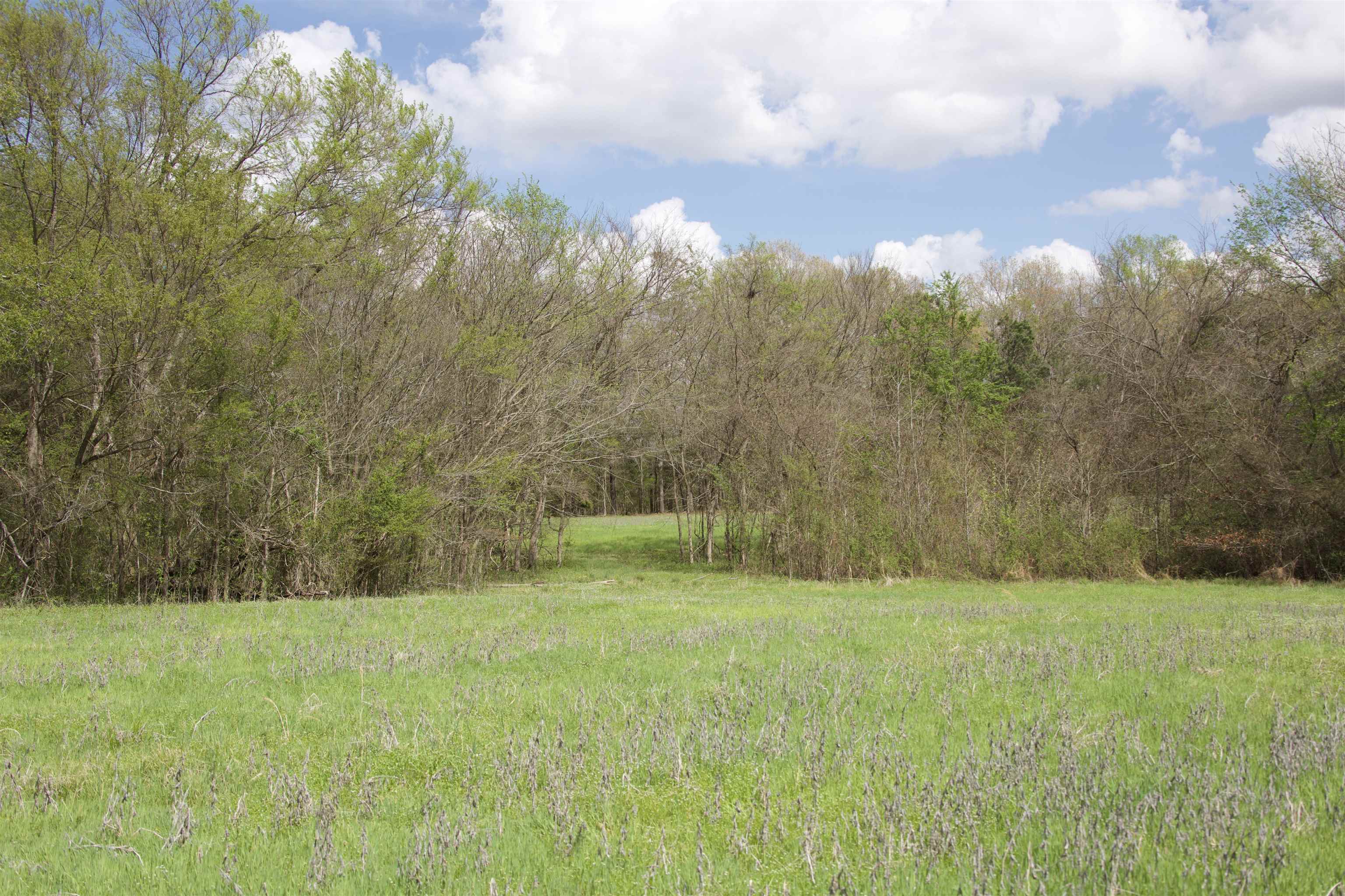 1519 Wilburn Road Michigan City, MS 38647 - Photo 21 of 22 a view of a green field