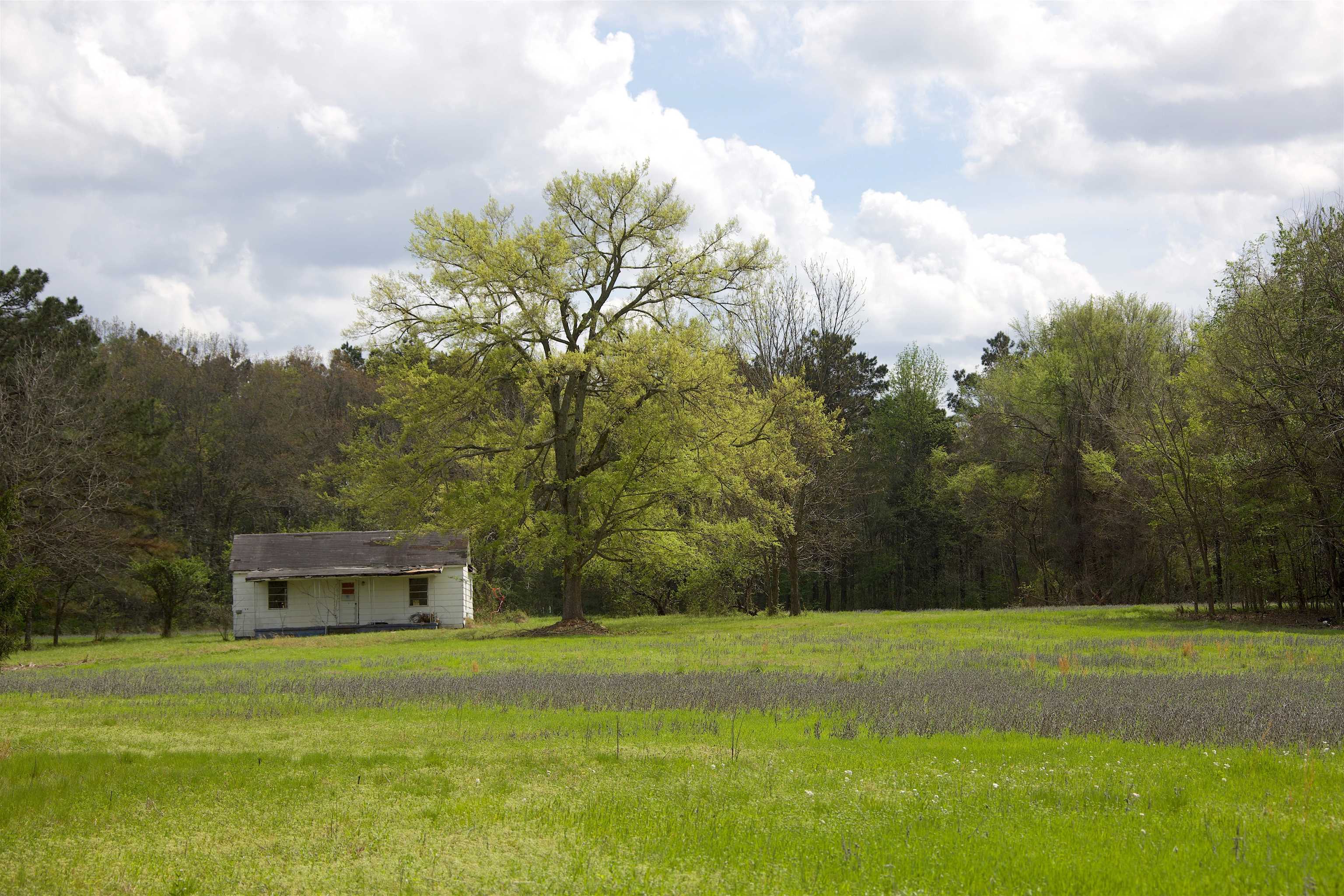 1519 Wilburn Road Michigan City, MS 38647 - Photo 5 of 22 a view of a house with a big yard