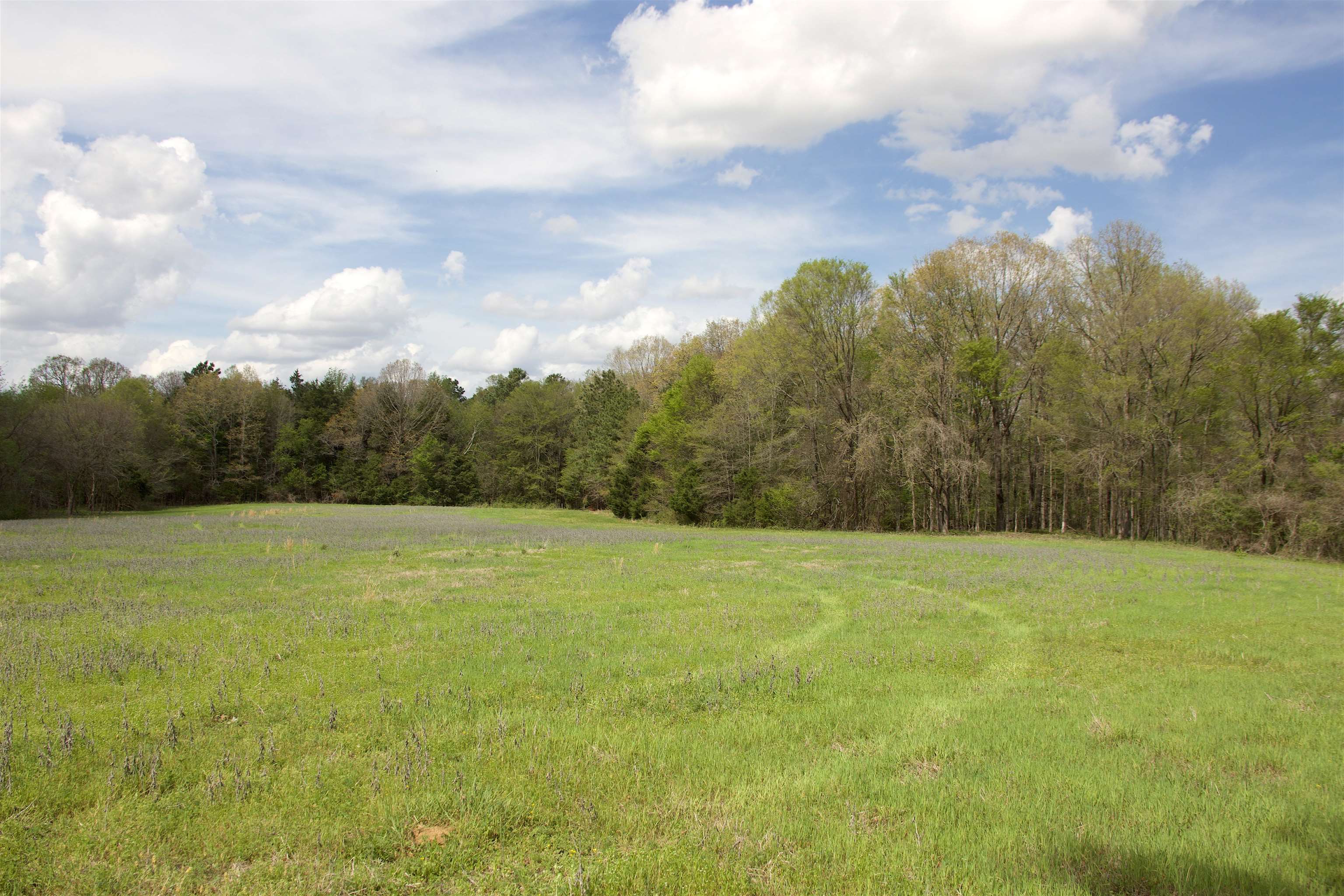 1519 Wilburn Road Michigan City, MS 38647 - Photo 10 of 22