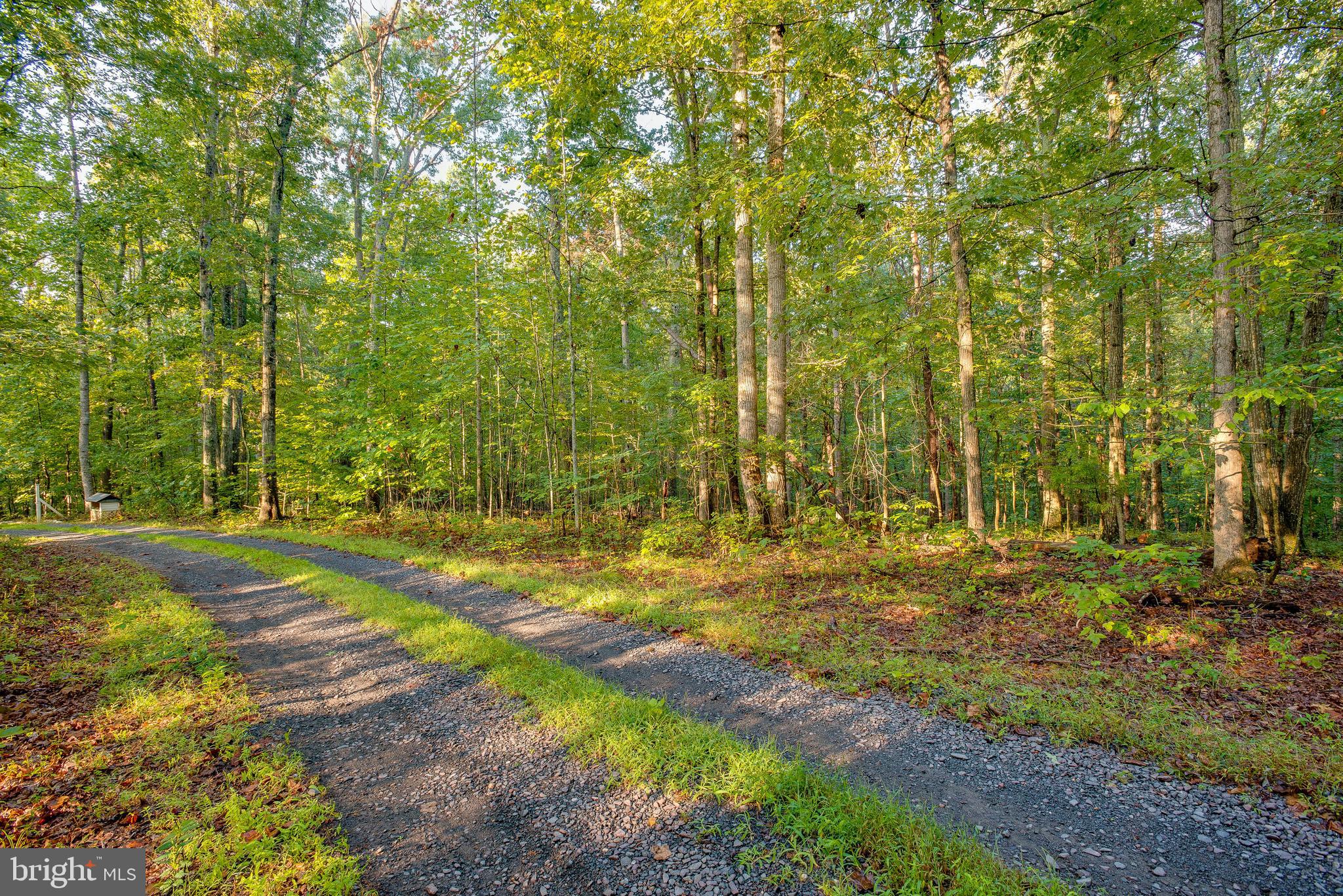 Jamesons Mill Road Culpeper, VA 22701 - Photo 11 of 16