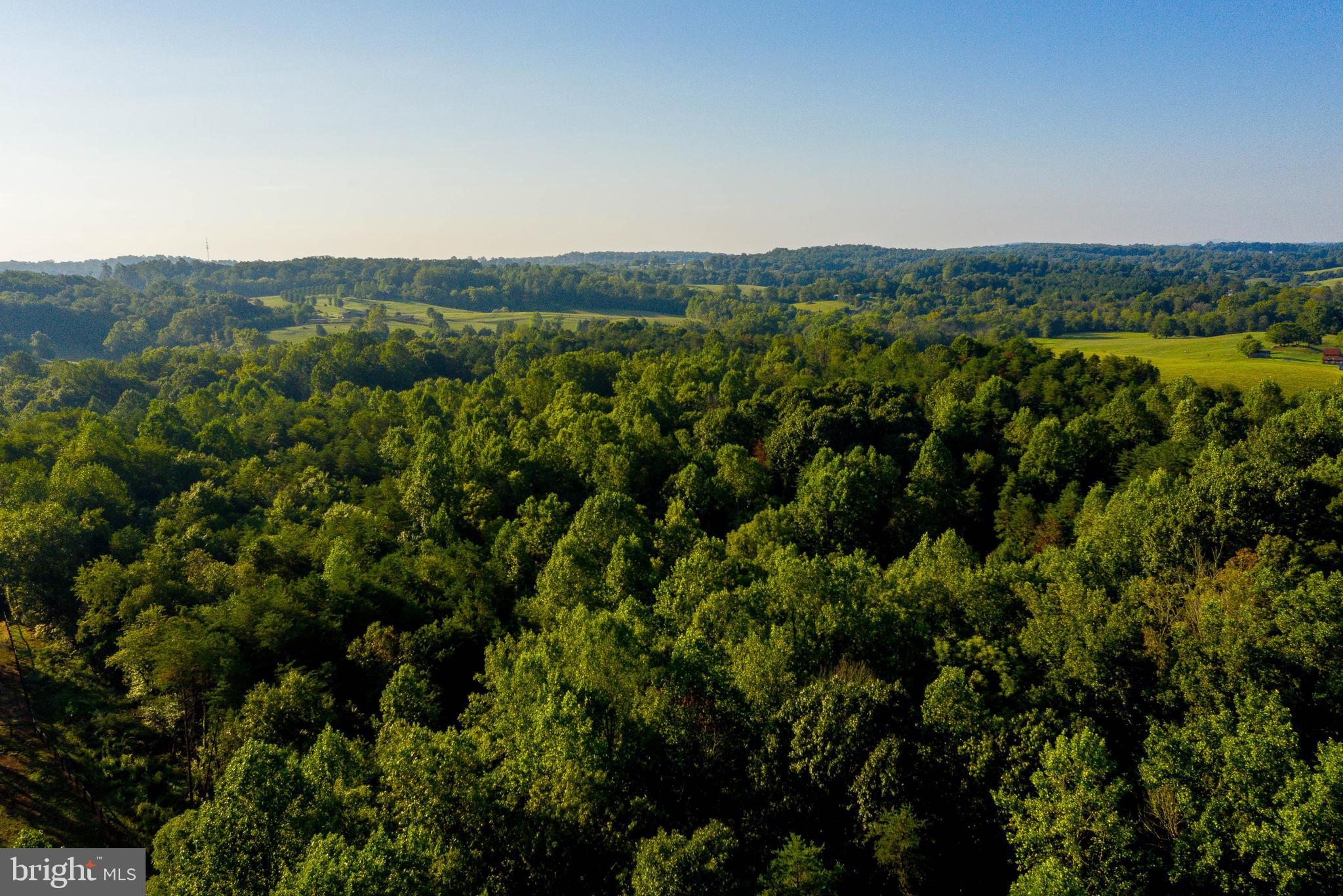 Jamesons Mill Road Culpeper, VA 22701 - Photo 14 of 16
