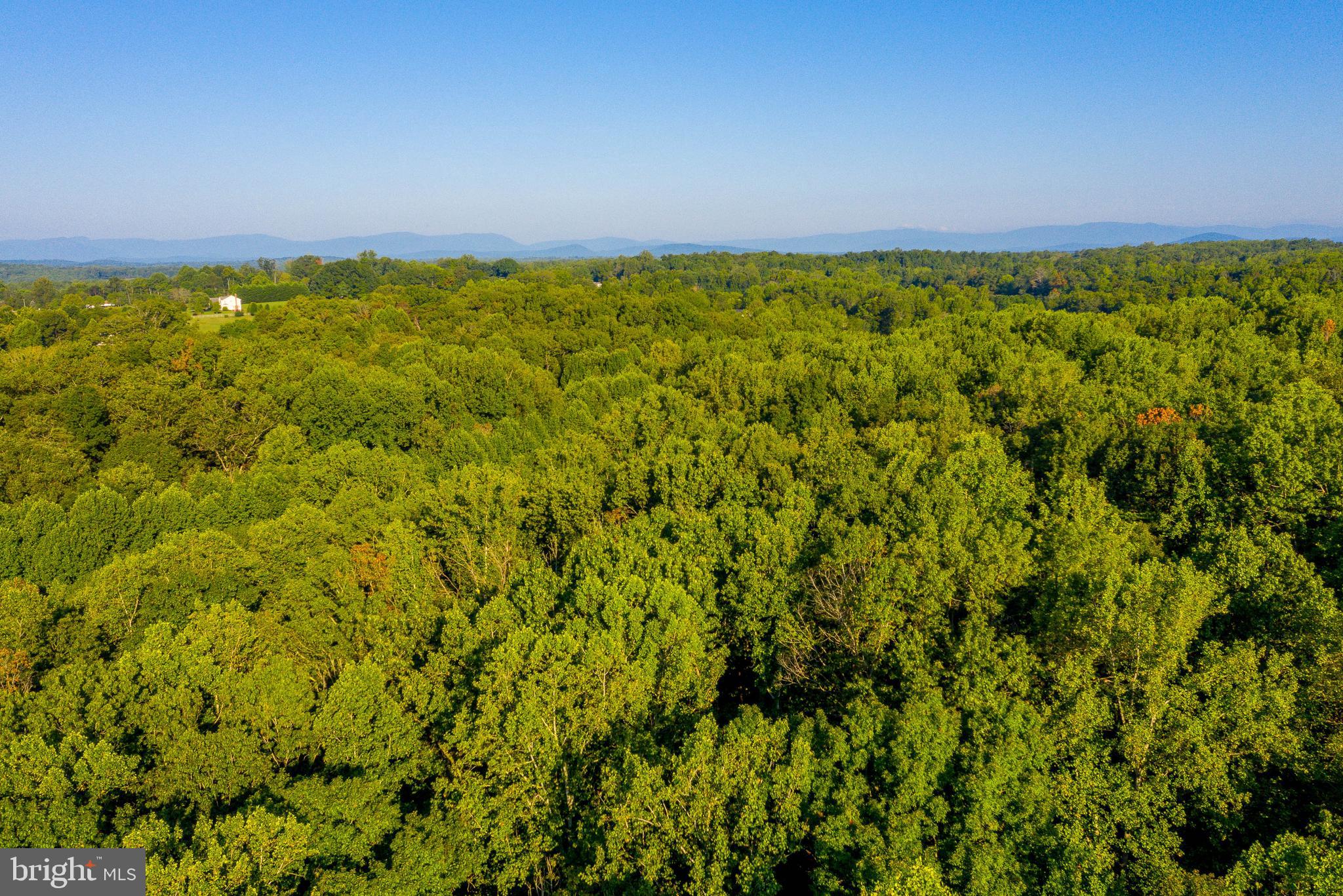 Jamesons Mill Road Culpeper, VA 22701 - Photo 15 of 16