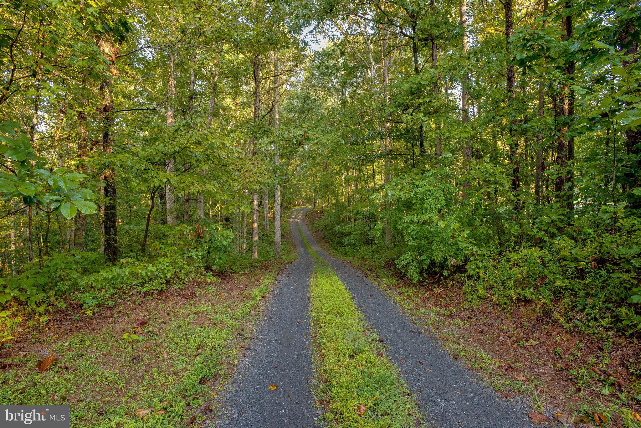 Jamesons Mill Road Culpeper, VA 22701 - Photo 4 of 16
