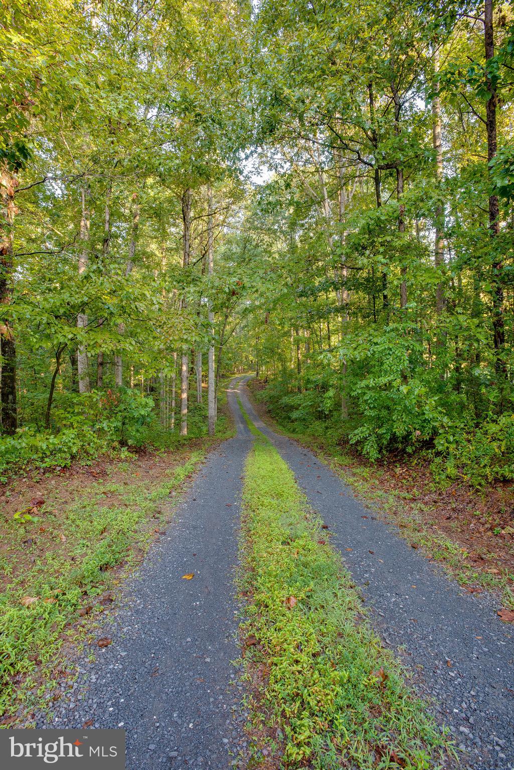 Jamesons Mill Road Culpeper, VA 22701 - Photo 5 of 16