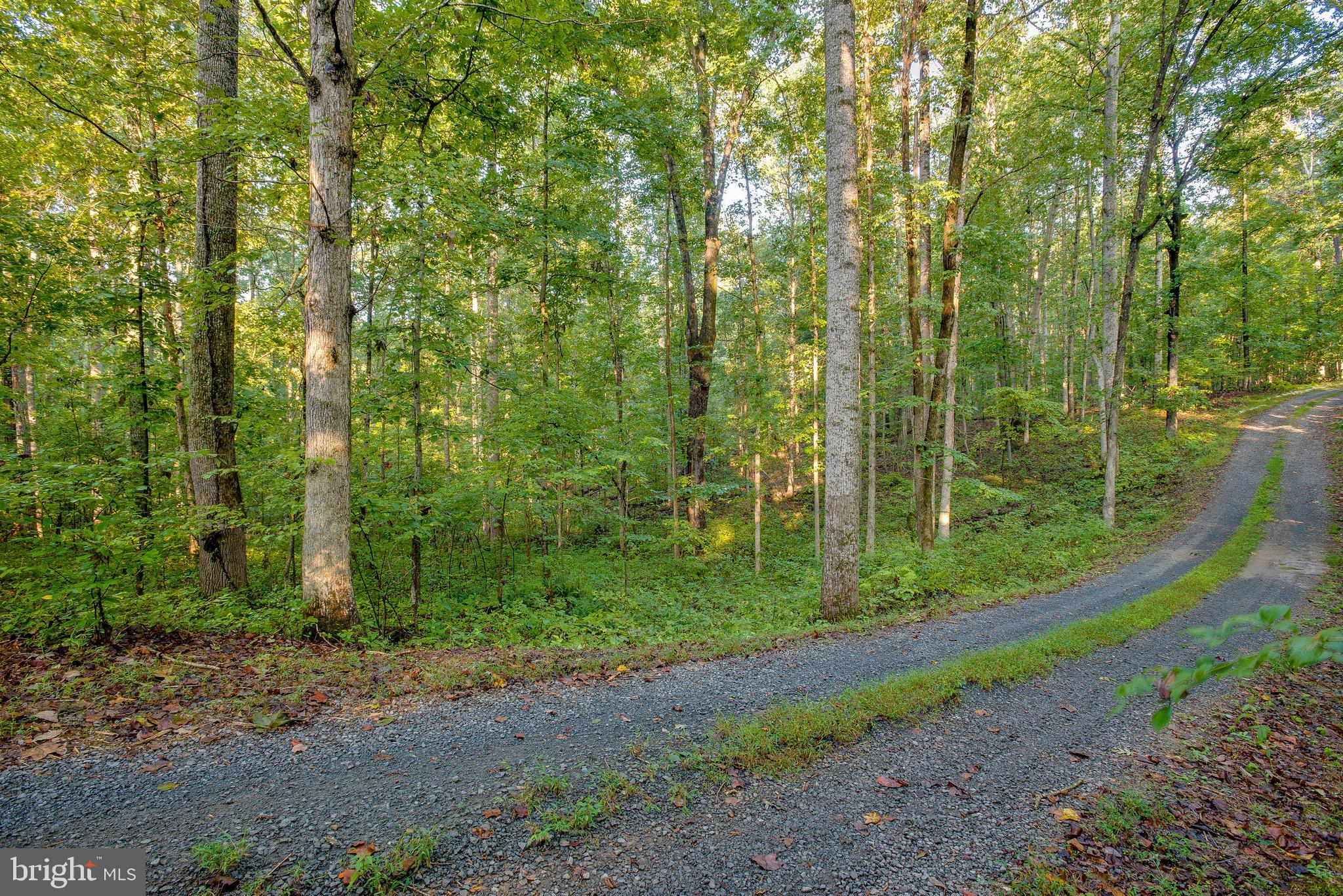 Jamesons Mill Road Culpeper, VA 22701 - Photo 6 of 16