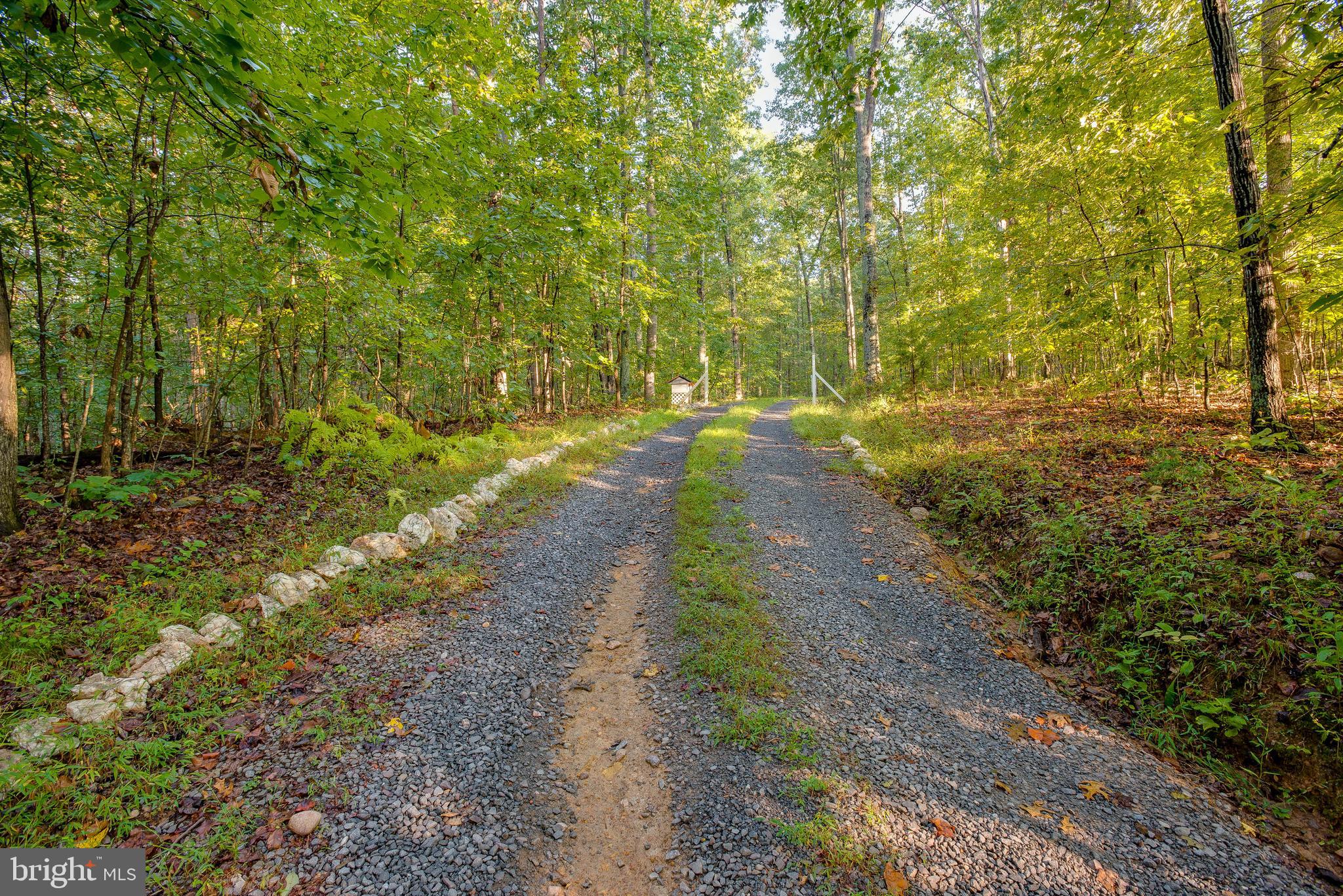 Jamesons Mill Road Culpeper, VA 22701 - Photo 7 of 16