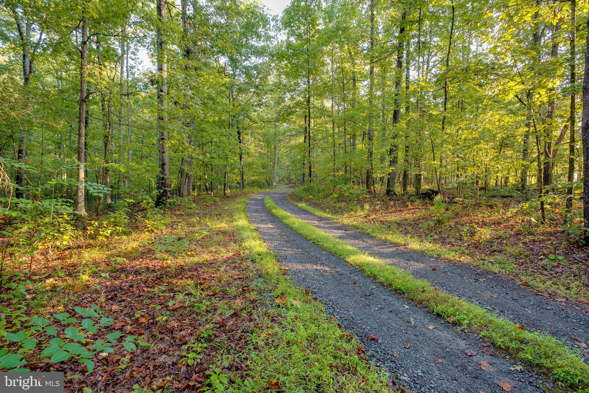 Jamesons Mill Road Culpeper, VA 22701 - Photo 9 of 16