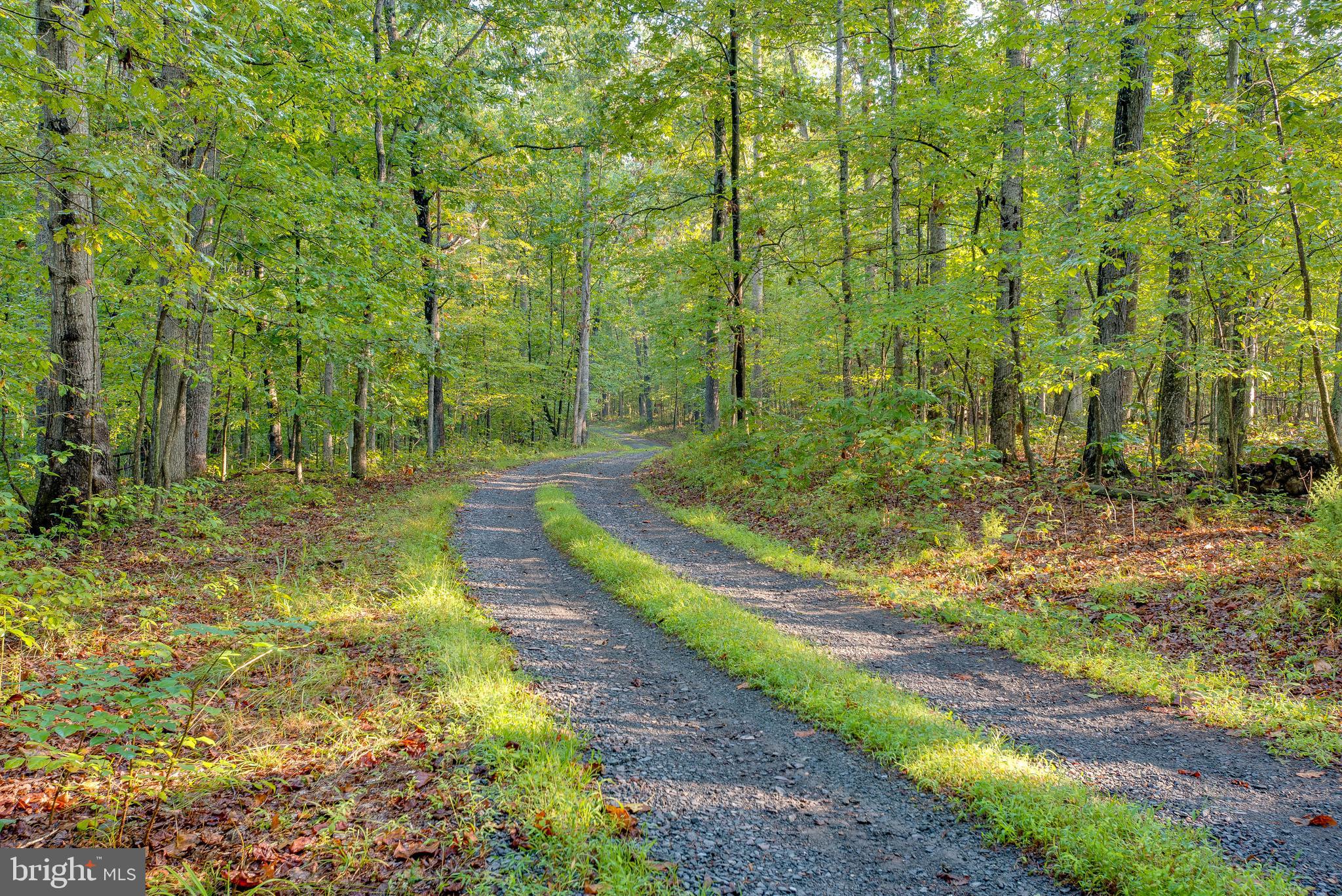 Jamesons Mill Road Culpeper, VA 22701 - Photo 10 of 16