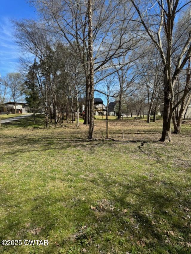 0 Arrowhead Circle Decaturville, TN 38329 - Photo 2 of 4 a view of park on side of building