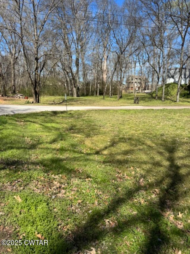 0 Arrowhead Circle Decaturville, TN 38329 - Photo 3 of 4 a large yard with lots of green space and trees