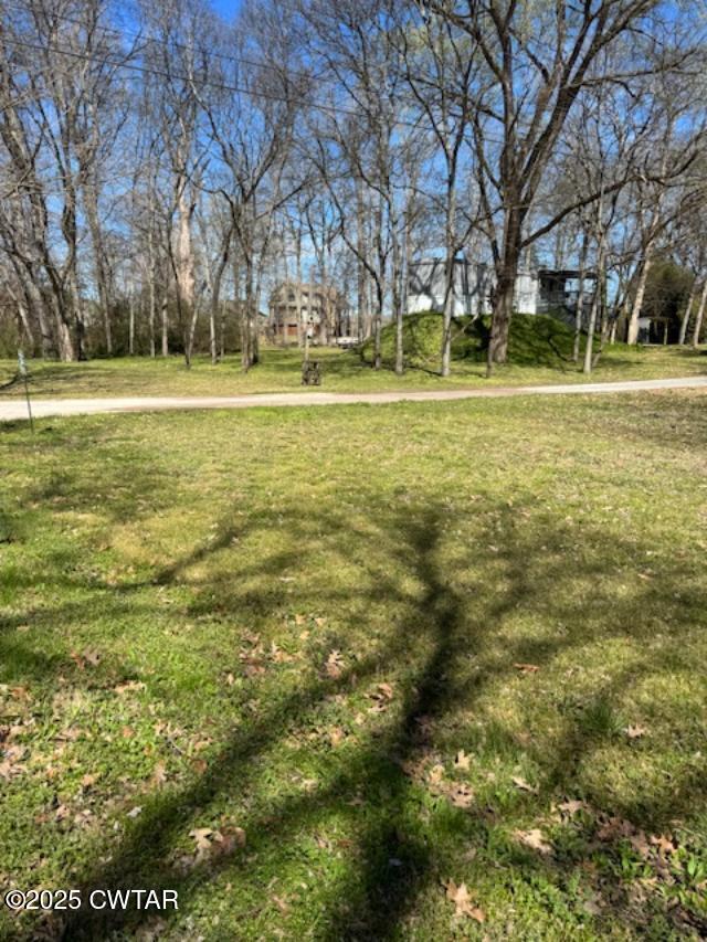 0 Arrowhead Circle Decaturville, TN 38329 - Photo 4 of 4 a garden view with a fountain