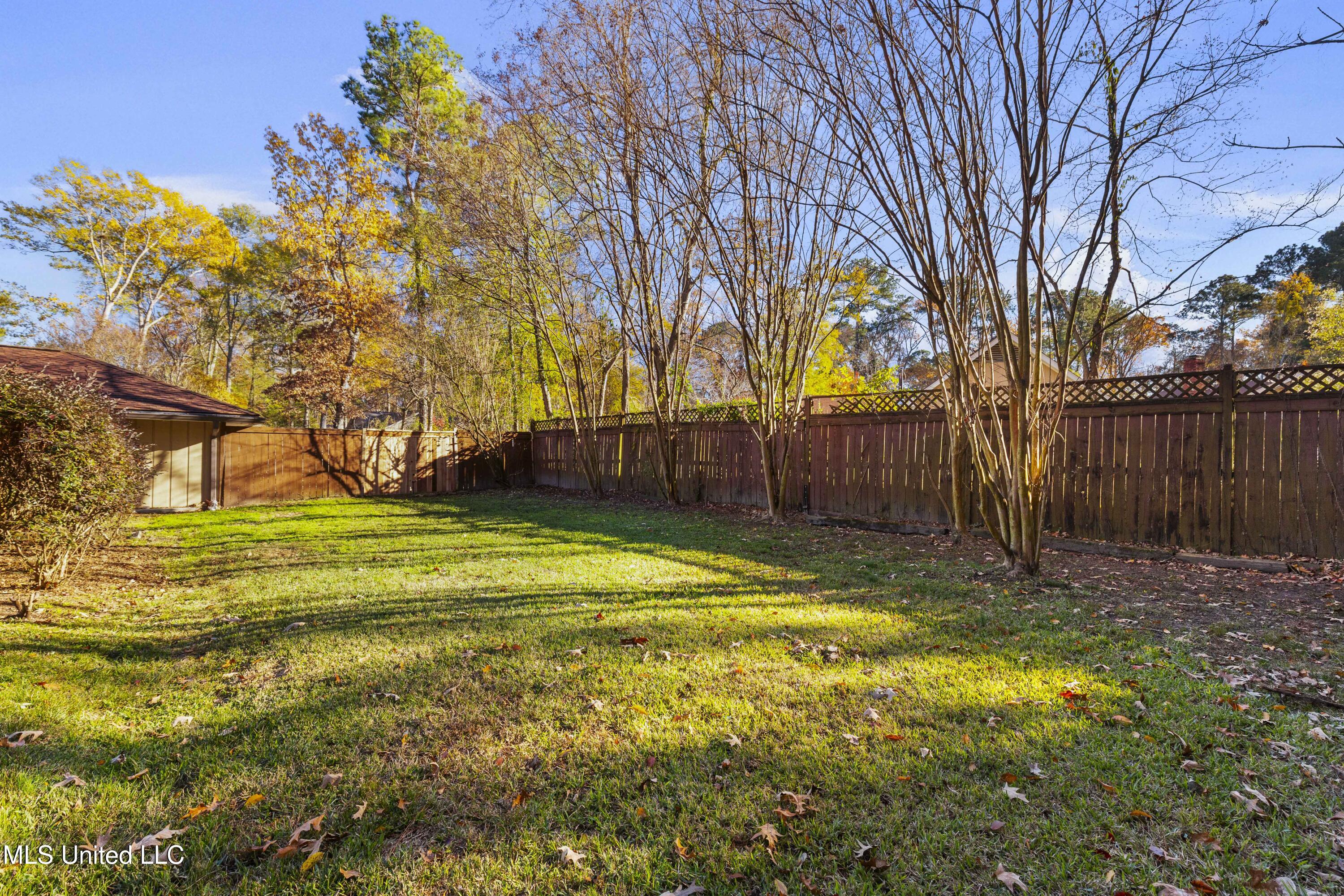 602 Audubon Point Drive Brandon, MS 39047 - Photo 56 of 75 65-print-602 Audubon-60