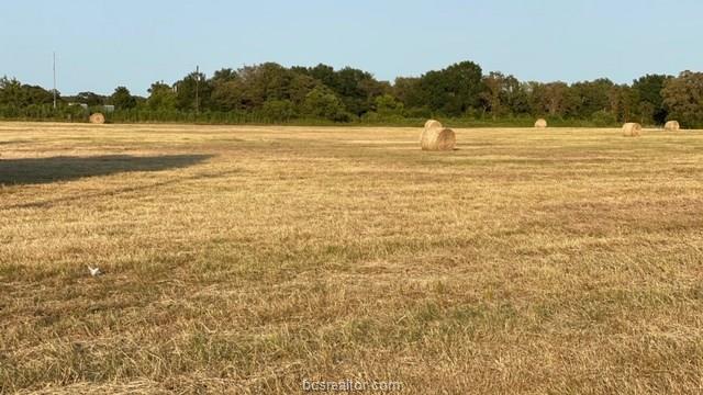 1290 Gun Range Road Somerville, TX 77879 - Photo 7 of 15 Gallery Image 7