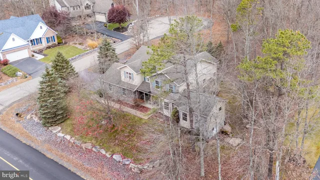 a view of a yard with plants