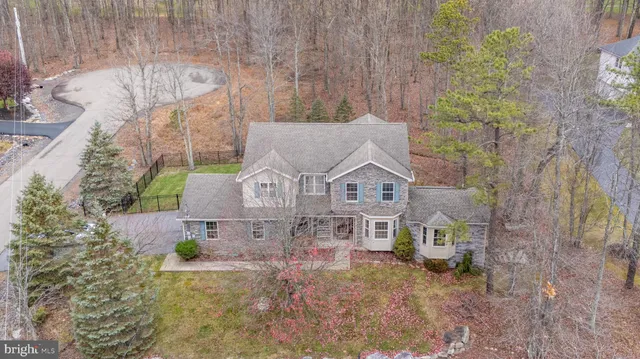 a aerial view of a house with a yard and large tree