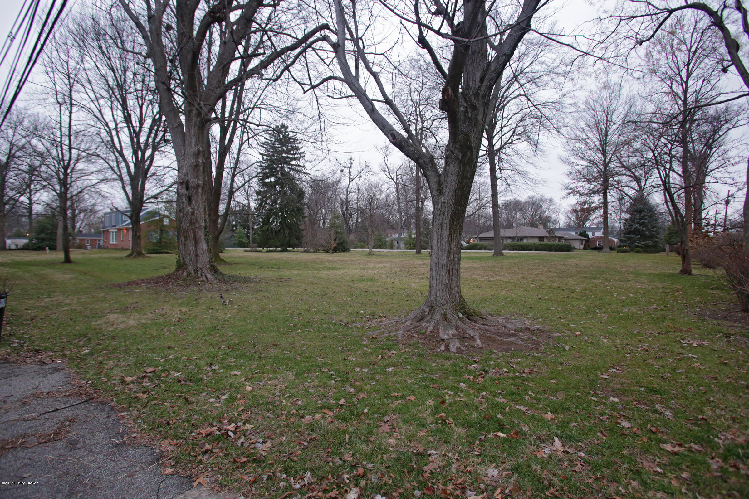 2901 Dundee Road Louisville, KY 40205 - Photo 35 of 35 Green space