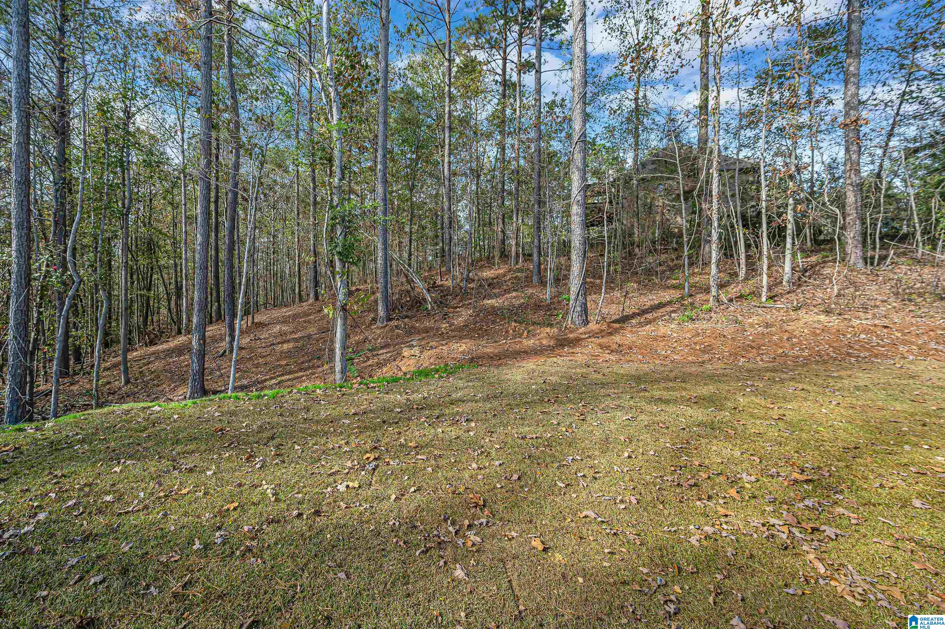 1009 Lake View Lane Calera, AL 35040 - Photo 46 of 52