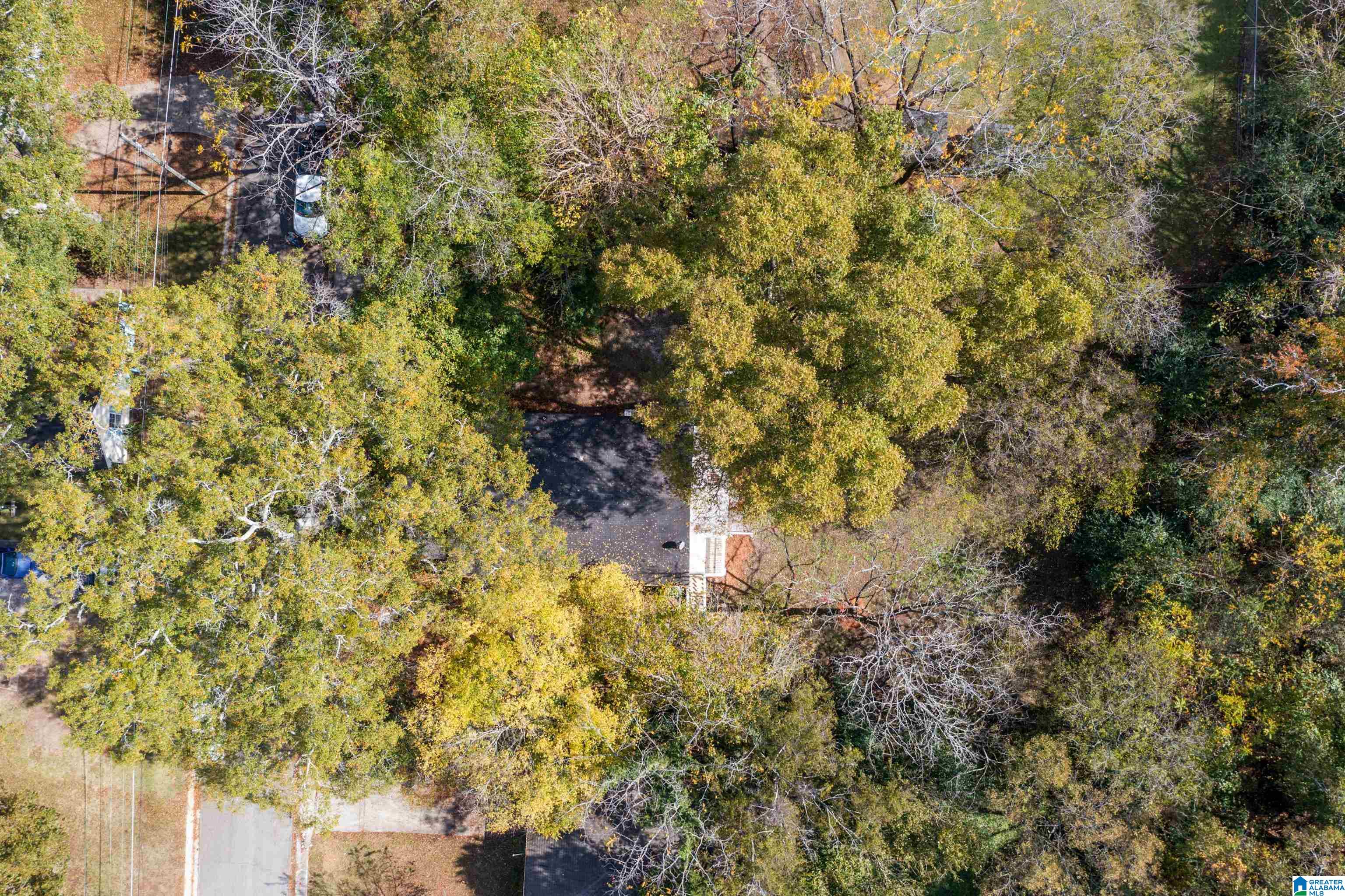 313 10th Street Pleasant Grove, AL 35127 - Photo 32 of 32