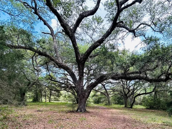 $1,120,000 | 32-acres Dunlavy Road, Cat Spring, TX 78933