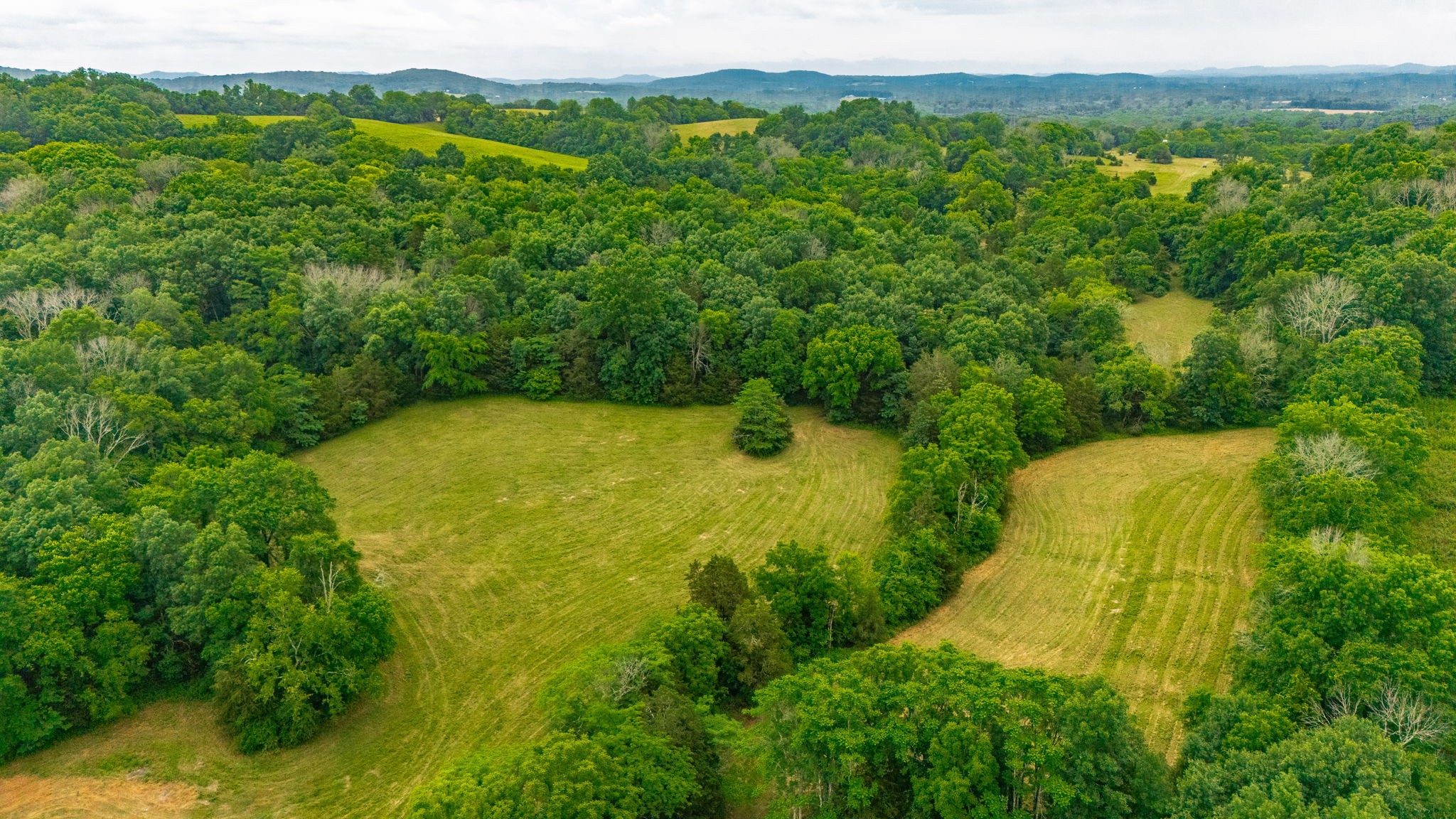 0 Mitchell Road Lebanon, TN 37087 - Photo 20 of 20 Gallery Image 20