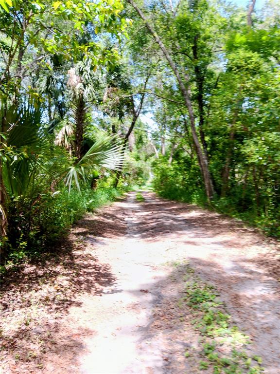 2700 Junction Road Zellwood, FL 32798 - Photo 8 of 12
