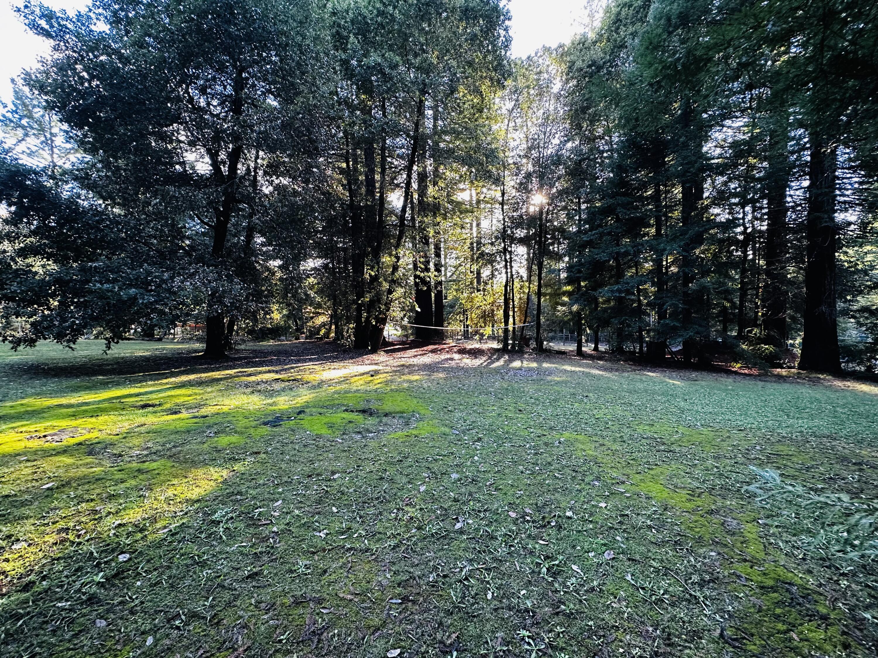 135 Logan Road Miranda, CA 95553 - Photo 82 of 112 Redwood Grove by Camp Area