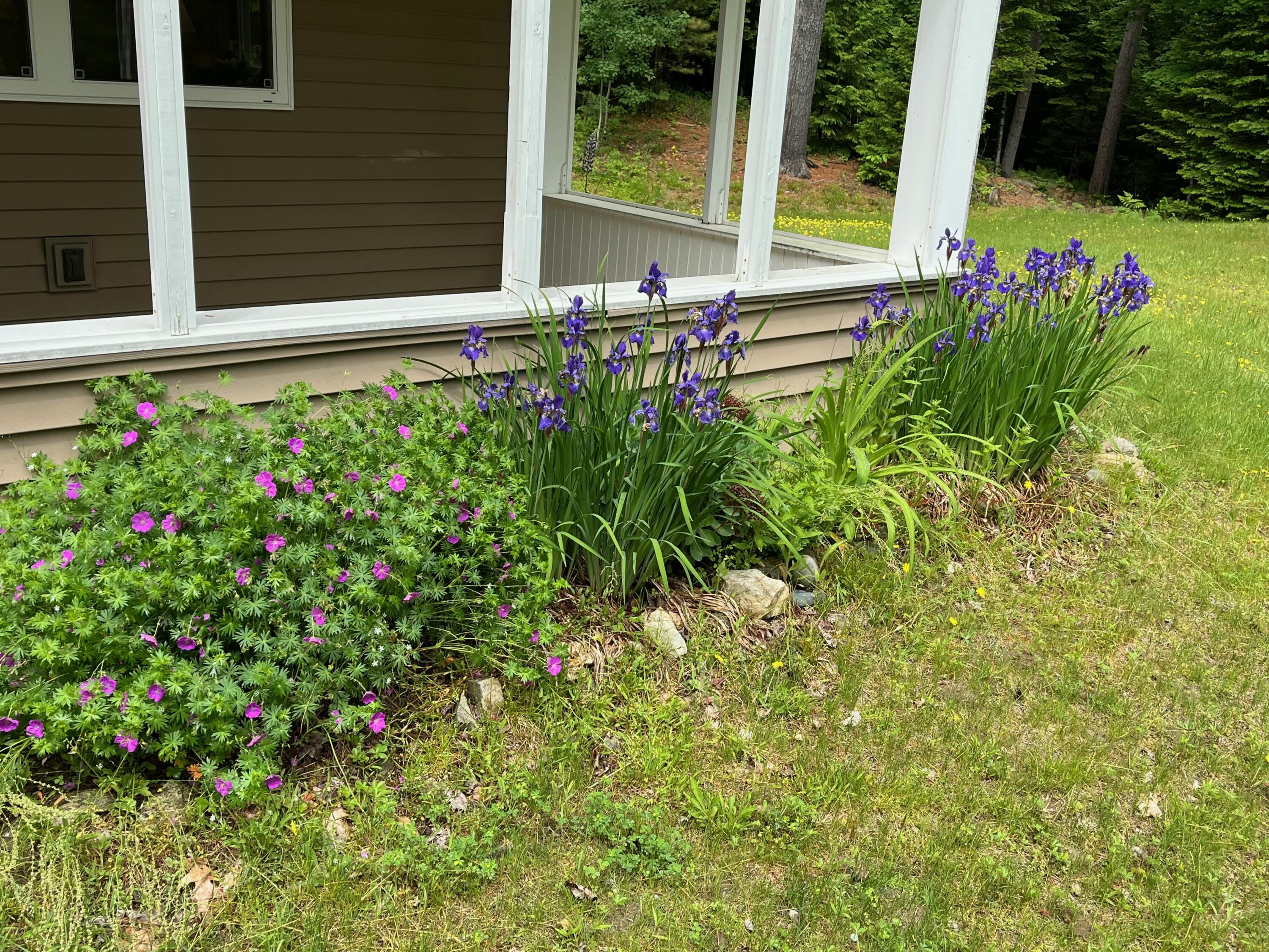 52 Main Road Chesterville, ME 04938 - Photo 82 of 150 tempImageLAgpKe