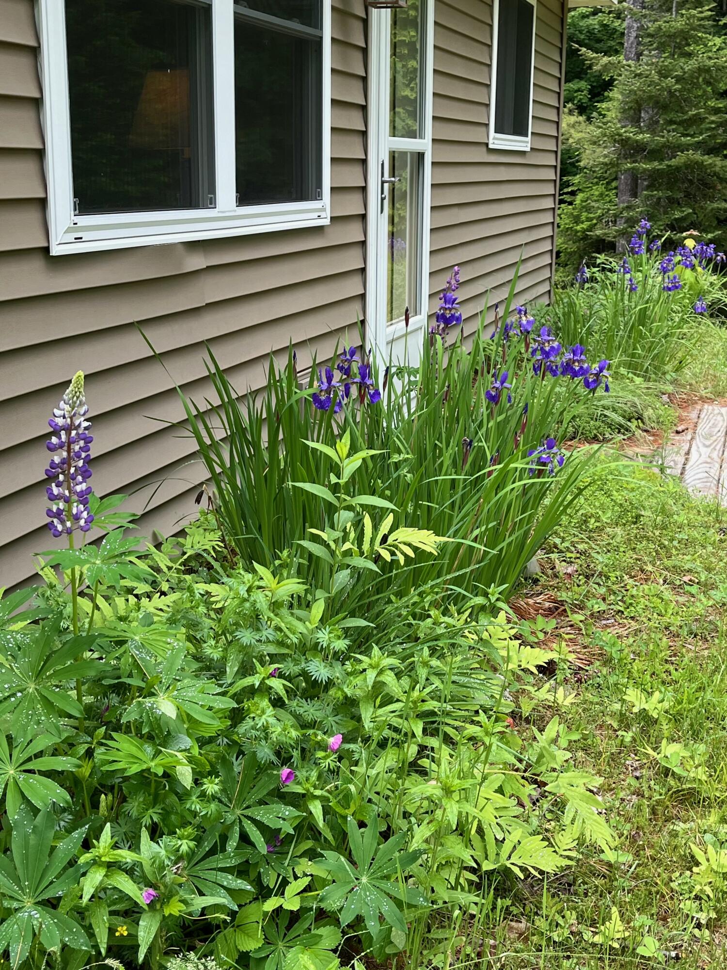 52 Main Road Chesterville, ME 04938 - Photo 83 of 150 tempImagefGCMGN