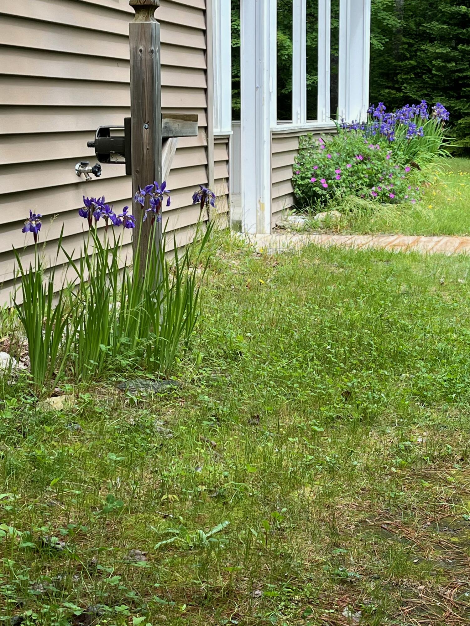 52 Main Road Chesterville, ME 04938 - Photo 84 of 150 tempImagebOFsrs